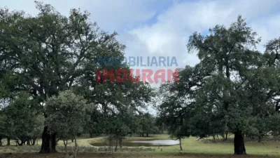 Finca rústica en venta en Majadas - Vista 5