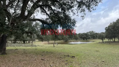 Finca rústica en venta en Majadas - Vista 6