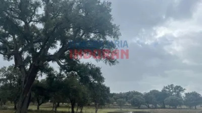 Rustic Finca in Majadas photo 6