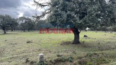 Rustic Finca in Majadas photo 7