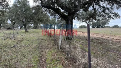 Rustic Finca in Majadas photo 8