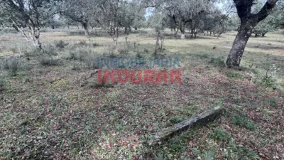 Rustic Finca in Majadas photo 9