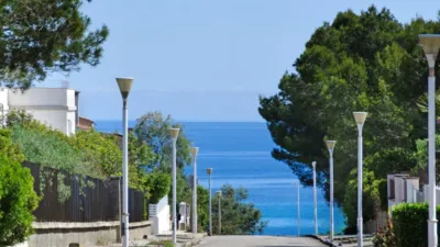 Villa in Son Serra de Marina photo 2