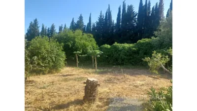 Finca rústica en La Alquería-Torrealquería photo 45