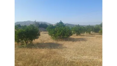 Finca rústica en La Alquería-Torrealquería photo 80