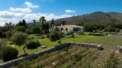 Rustic house in Capdepera photo 20