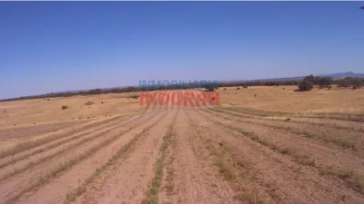 Rustic farm in Peraleda de la Mata photo 3
