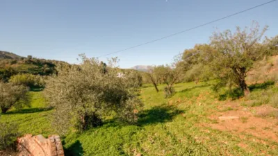 Rustic farm in Coín photo 10