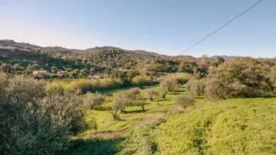 Rustic farm in Coín photo 11