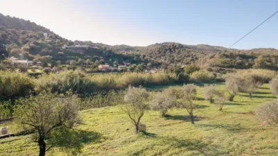 Rustic farm in Coín photo 12