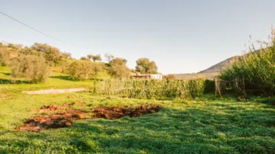 Rustic farm in Coín photo 5
