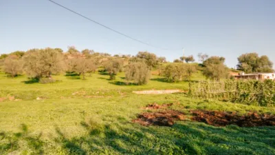 Rustic farm in Coín photo 6