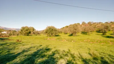 Rustic farm in Coín photo 7