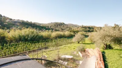 Rustic farm in Coín photo 8