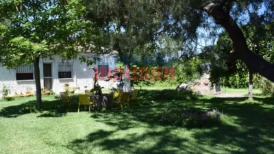 Rustic Finca in Belvís de Monroy photo 3