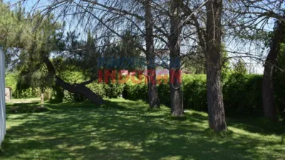 Rustic Finca in Belvís de Monroy photo 8