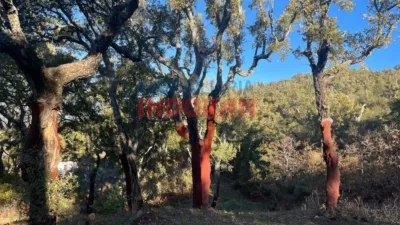 Finca rústica en Castañar de Ibor photo 5