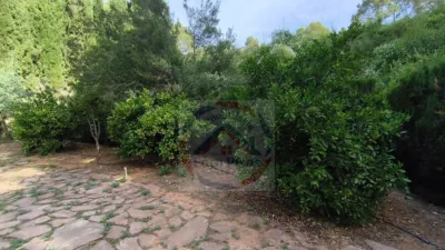 Villa in Xàtiva photo 38