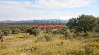 Finca rústica en Malpartida de Plasencia photo 2