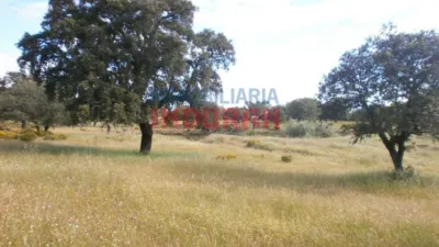 Finca rústica en Malpartida de Plasencia photo 4