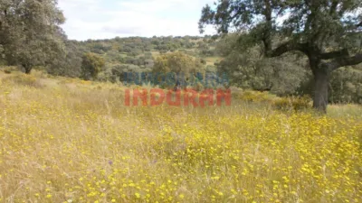 Finca rústica en Malpartida de Plasencia photo 5