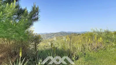 Chalet in Canillas de Aceituno photo 52