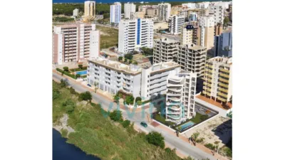 Apartment in Guardamar Playa photo 17