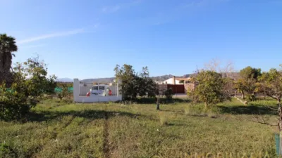 Casa rústica en Pinos de Alhaurín photo 8
