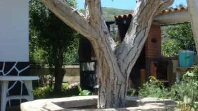 Chalet en Teror photo 11