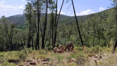 Finca rústica en venta en El Robledillo - Vista 4