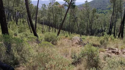 Finca rústica en venta en El Robledillo - Vista 5