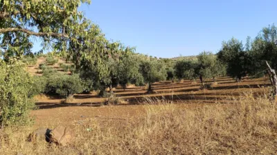Finca rústica en venta en Montemolín - Vista 5