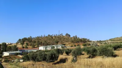 Finca rústica en venta en Montemolín - Vista 6