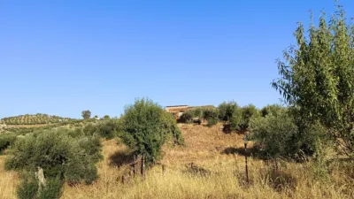Finca rústica en venta en Montemolín - Més