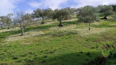 Finca rústica en venta en Monesterio - Vista 4