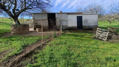 Finca rústica en venta en Monesterio - Vista 5