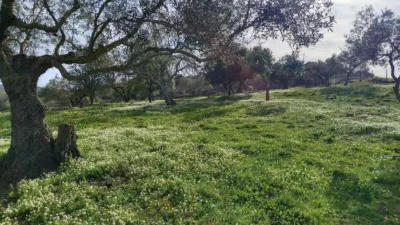 Finca rústica en venta en Monesterio - Más