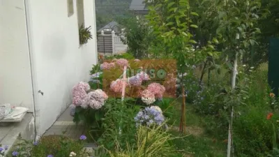 Chalet in Pereiro de Aguiar (O) photo 39