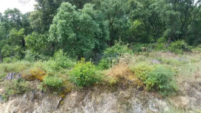 Terreno en venta en Ourense, San Cibrao Das Viñas (Capital). Municipio de San Cibrao das Viñas de 70.000 €
