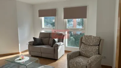 Piso en alquiler en Calle Montepedroso, 1, Barrocás (Ourense Capital) de 800 €<span>/mes</span>