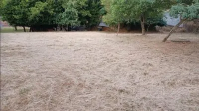 House in Merca (A) photo 9