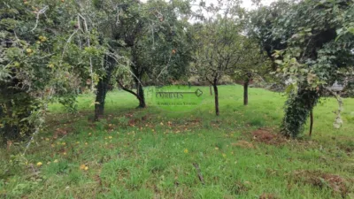House in Quintela de Leirado photo 13