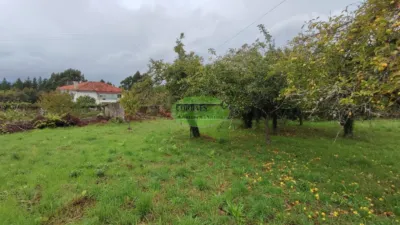 House in Quintela de Leirado photo 14