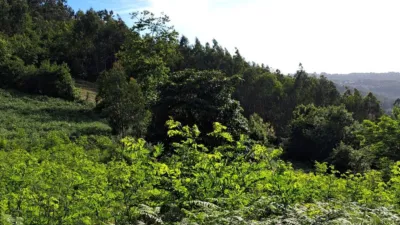 Terreno en venta en Calle Lugar Queirís - Vista 4
