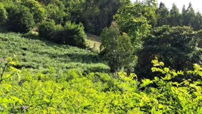 Terreno en venta en Calle Lugar Queirís - Más