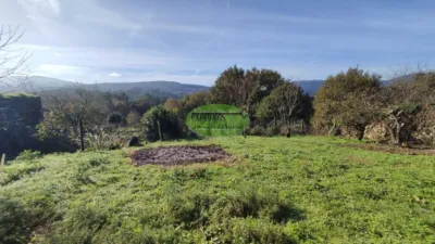 House in Cortegada photo 17