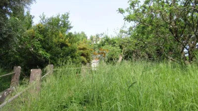 House in Fene photo 11