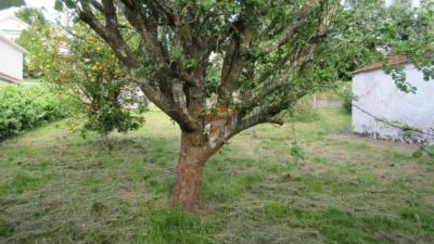 House in Fene photo 7