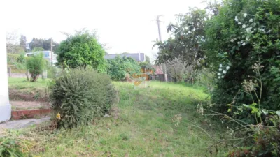 House in Fene photo 8