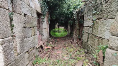 House in Castrelo de Miño photo 6